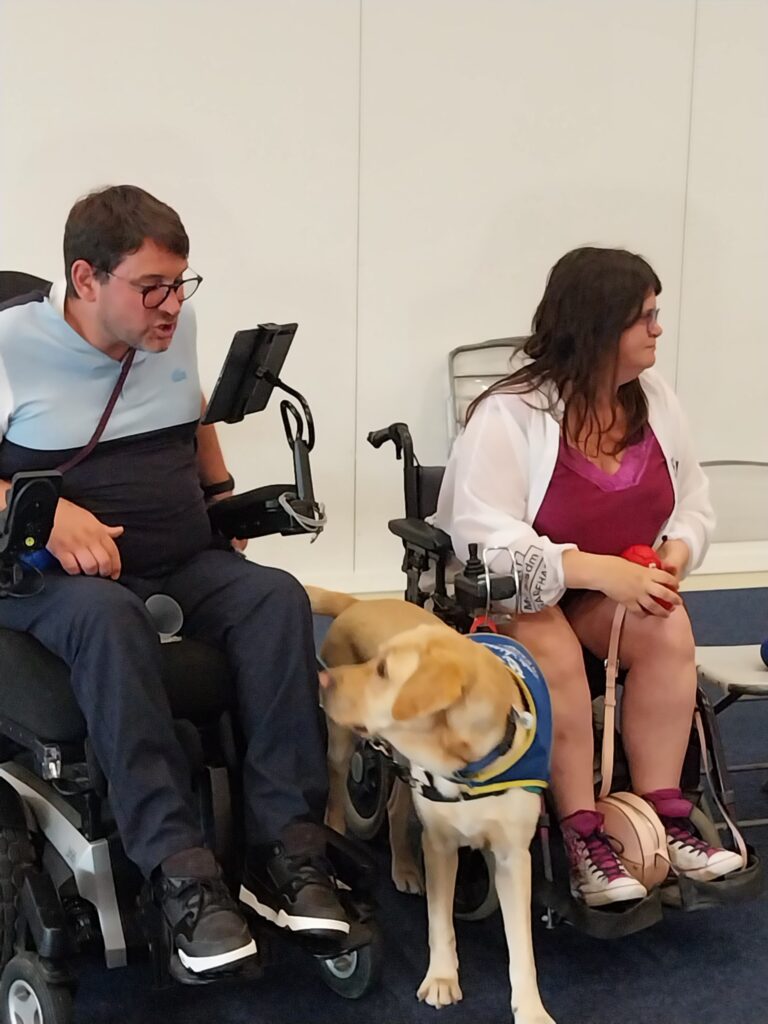 boccia handicap