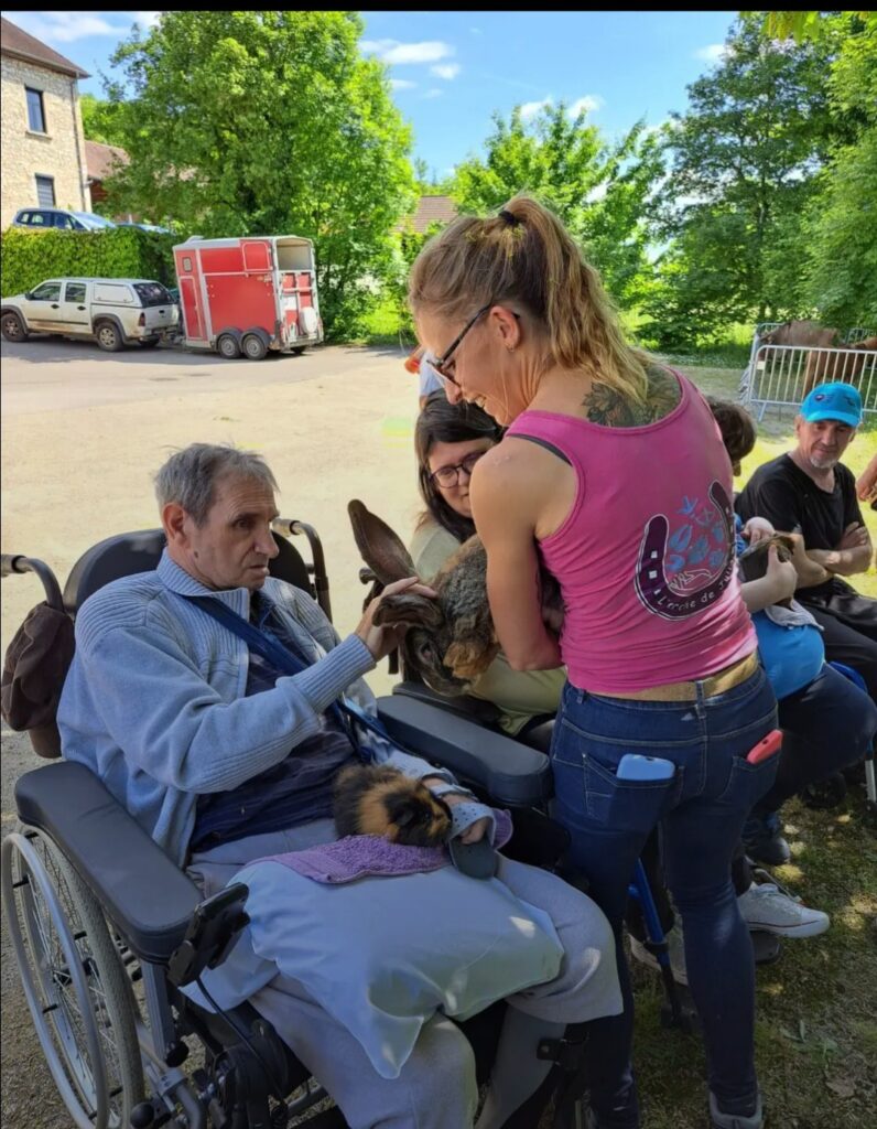 Animaux handicap