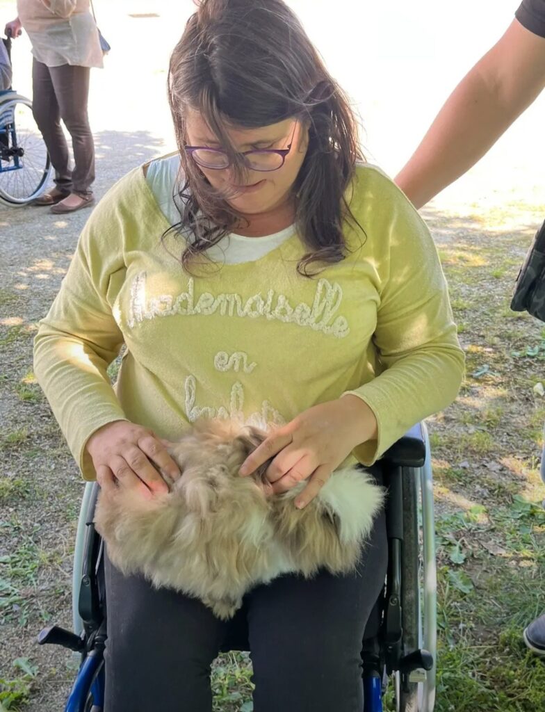 Animaux handicap